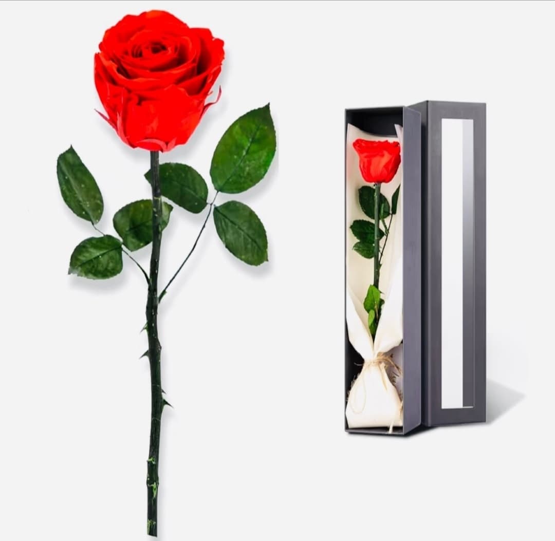 single rose with free short note!🌐